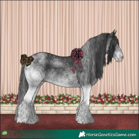 Horse Color:White Spotted Black