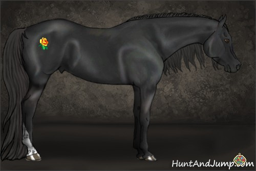 Horse Color:Liver Chestnut Tobiano 