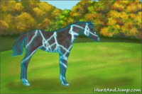 Horse Color:Thunderstruck Midnight Amber Champagne Ice Onyx
