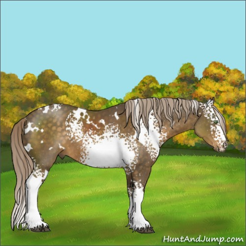 Horse Color:White Spotted Chocolate Palomino