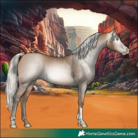 Horse Color:Gray Silver Buckskin Pearl Tobiano 