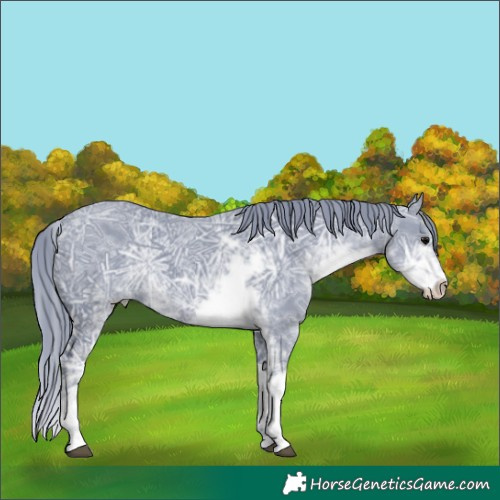 Horse Color:Watercolor Black Ice Sabino 