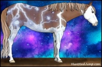 Horse Color:Red Roan Splash 