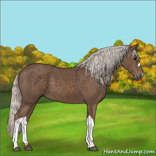 Horse Color:Silver Black