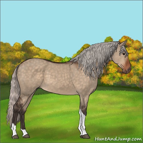 Horse Color:Silver Brown Dun Tobiano