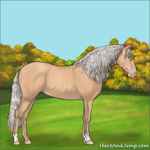 Horse Color:Silver Amber Champagne