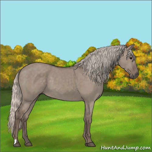 Horse Color:Silver Grullo