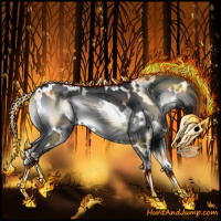 Horse Color:White Spotted Blue Onyx Chinchilla 