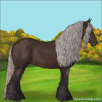 Horse Color:Silver Brown Rabicano 