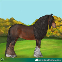 Horse Color:Liver Chestnut Tobiano 