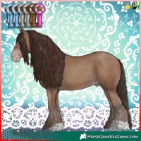 Horse Color:Classic Champagne Tobiano 