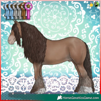 Horse Color:Classic Champagne Tobiano