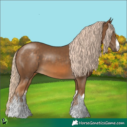 Horse Color:White Spotted Chocolate Palomino