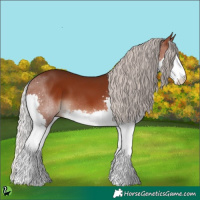 Horse Color:Silver Brown Splash