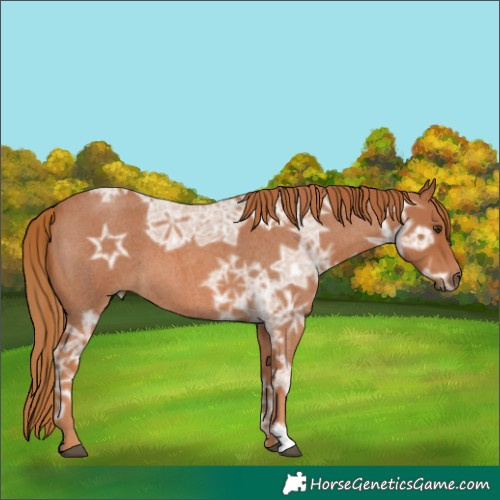 Horse Color:Red Ice Roan 