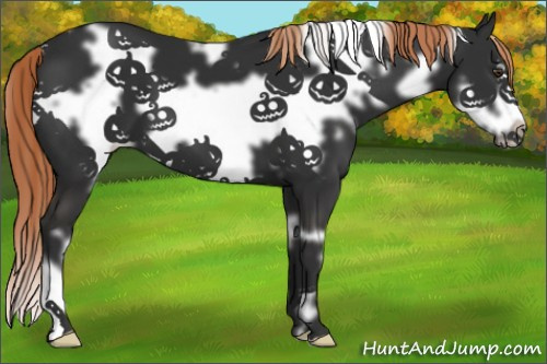 Horse Color:White Spotted Liver Chestnut Frame 