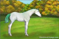 Horse Color:Watercolor Liver Red Onyx Ice Roan Splash 