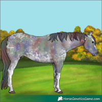 Horse Color:Nacre White Spotted Black Ice