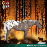 Horse Color:Silver Black Blanket 