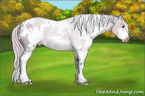 Horse Color:Watercolor White Spotted Silver Black Sabino 