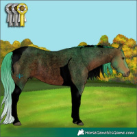 Horse Color:Void Watercolor Bay Roan Tobiano 