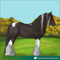 Horse Color:Liver Chestnut Tobiano 