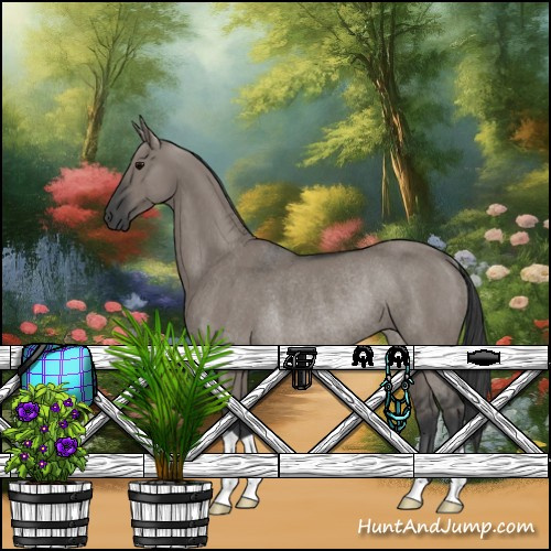 Horse Color:Grullo Rabicano