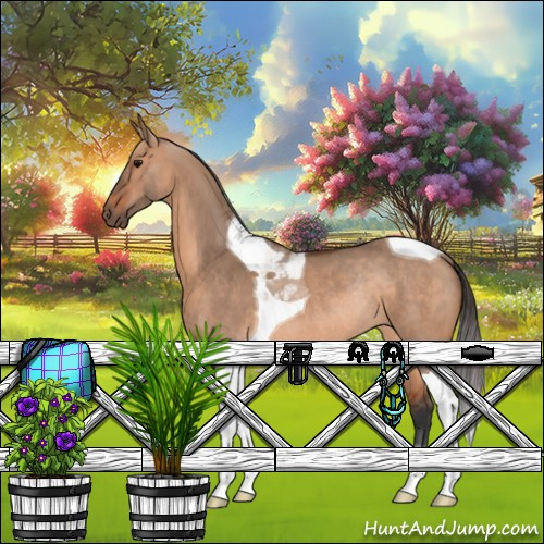 Horse Color:Bay Dun Tobiano Rabicano 