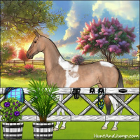 Horse Color:Bay Dun Tobiano Rabicano 