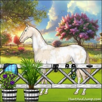 Horse Color:White Spotted Gold Champagne Pearl Dun Appaloosa 