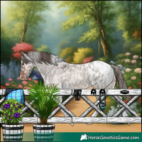 Horse Color:Bay Roan Dun Tobiano Blanket 