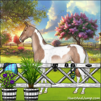 Horse Color:Silver Brown Dun Tobiano Rabicano