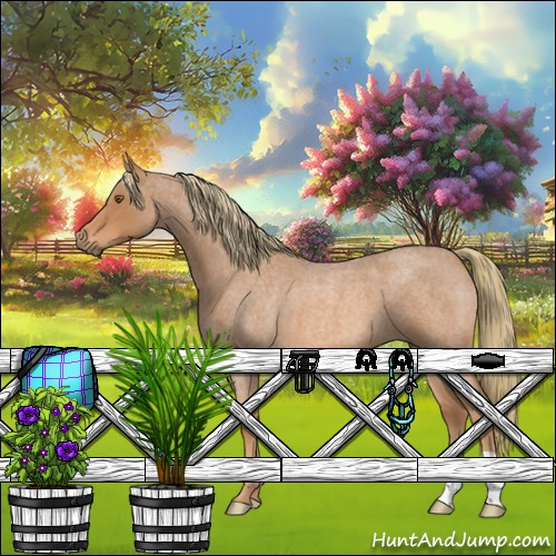 Horse Color:Red Roan 