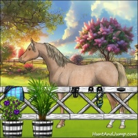 Horse Color:Red Roan 