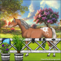 Horse Color:Silver Bay Roan Sabino Appaloosa 