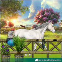 Horse Color:Silver Buckskin Roan Pearl Sabino 