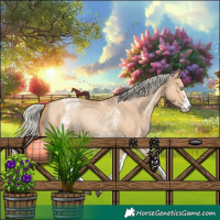 Horse Color:White Spotted Silver Bay Pearl Dun 