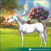 Horse Color:White Spotted Grullo Appaloosa Brindle 
