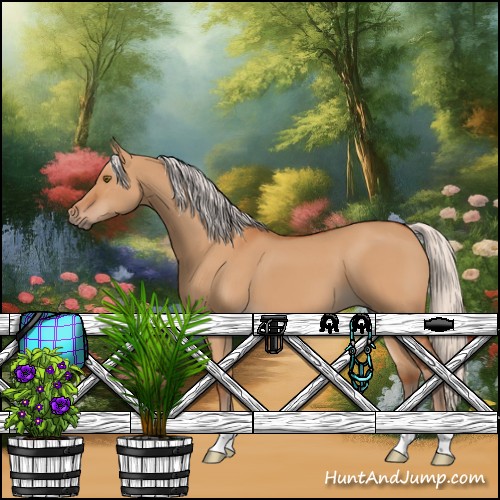 Horse Color:Silver Bay Dun