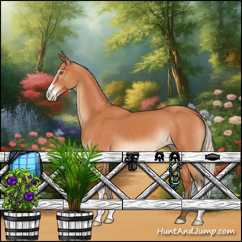 Horse Color:Silver Bay Roan Sabino 