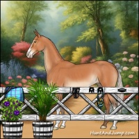 Horse Color:Silver Bay Roan Sabino 