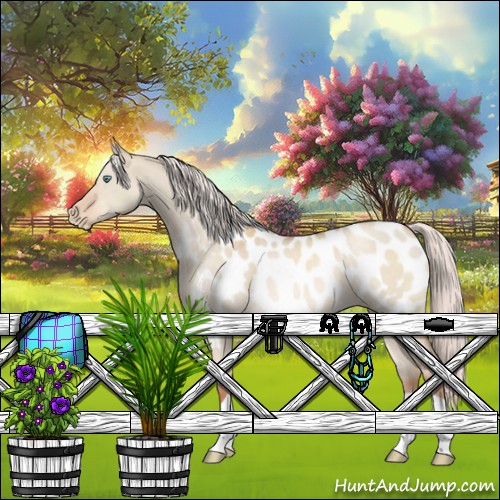 Horse Color:Silver Classic Champagne Dun Appaloosa 