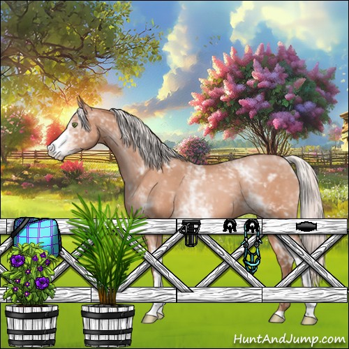 Horse Color:White Spotted Silver Amber Champagne 