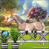 Horse Color:White Spotted Silver Amber Champagne 