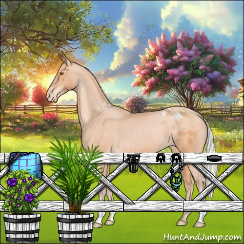 Horse Color:Silver Bay Pearl Appaloosa 