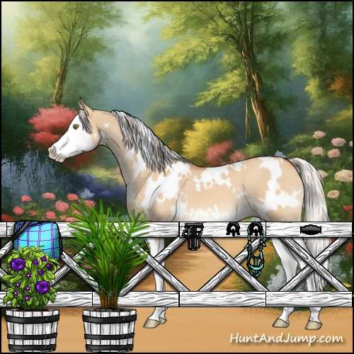 Horse Color:White Spotted Silver Bay Dun Splash 