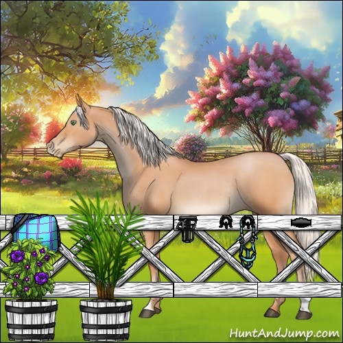 Horse Color:Silver Bay Roan Pearl Rabicano 