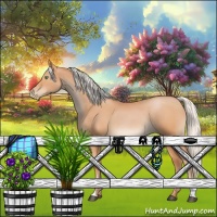 Horse Color:Silver Bay Roan Pearl Rabicano 