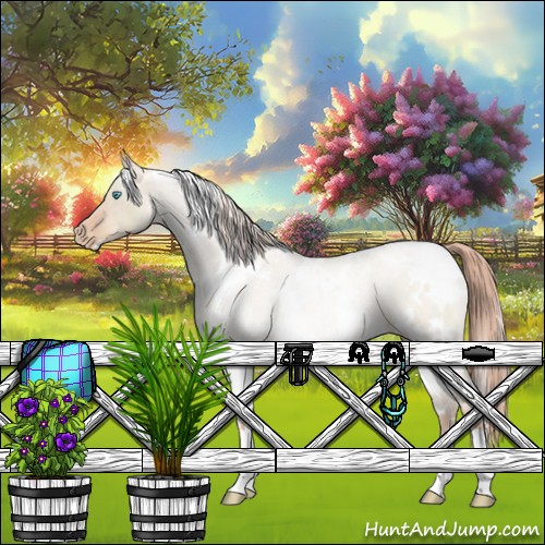 Horse Color:White Spotted Gold Champagne Dun Appaloosa 