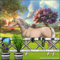 Horse Color:Silver Bay Roan Pearl 